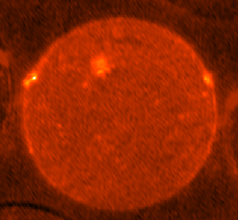 srh128 Sun image